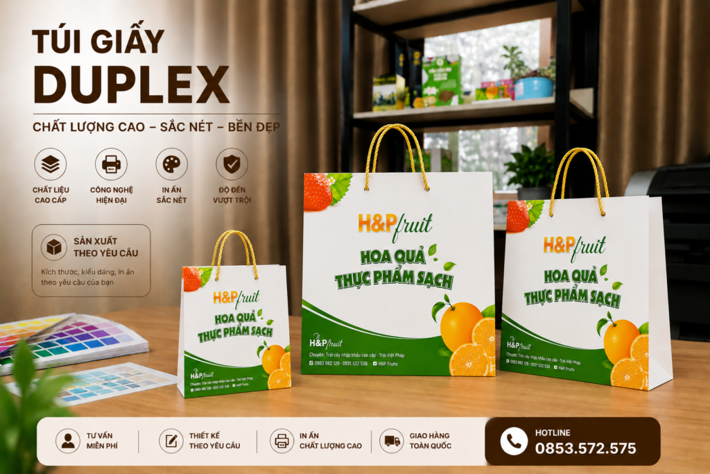 Túi giấy duplex