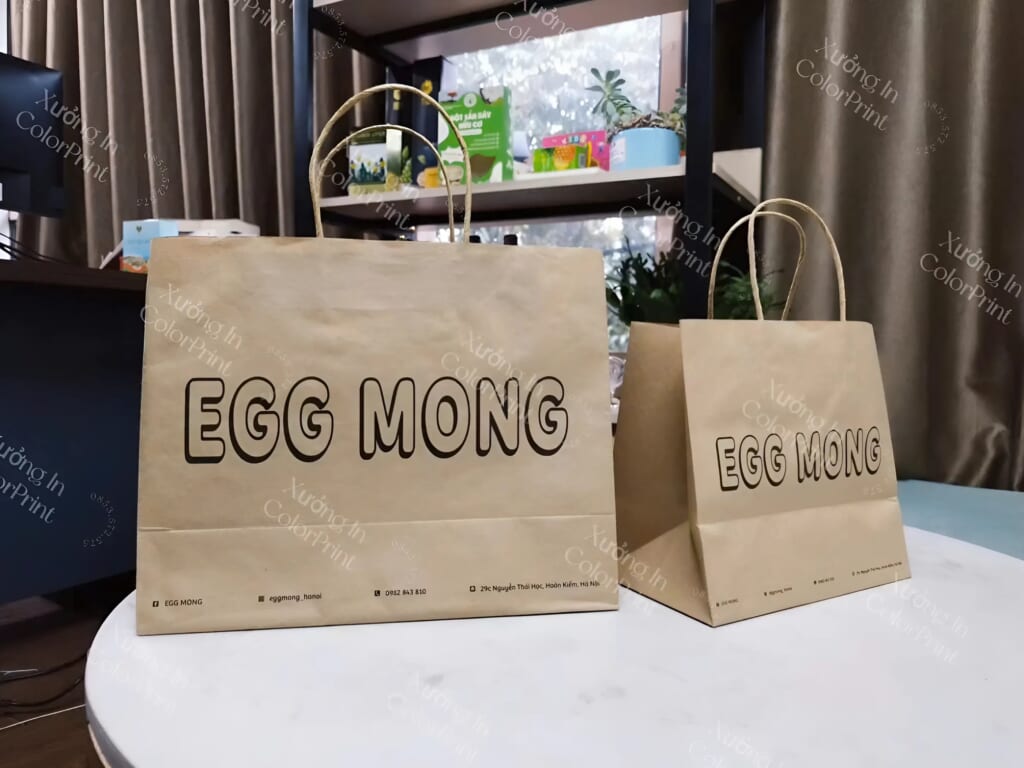 Túi giấy kraft nâu
