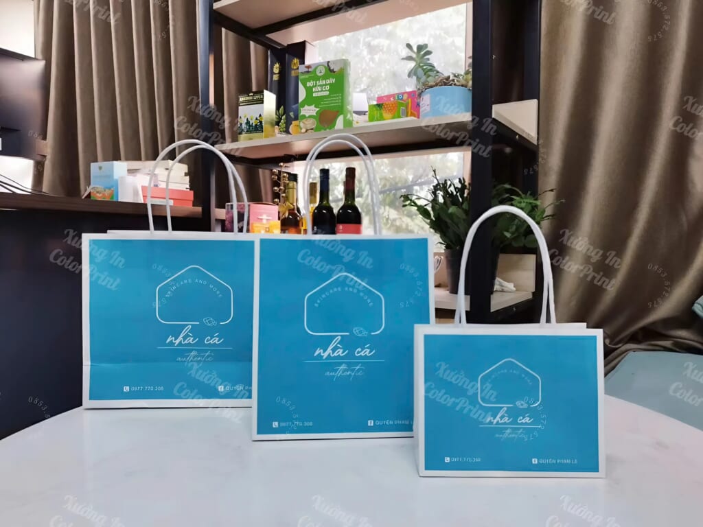 túi giấy kraft trắng