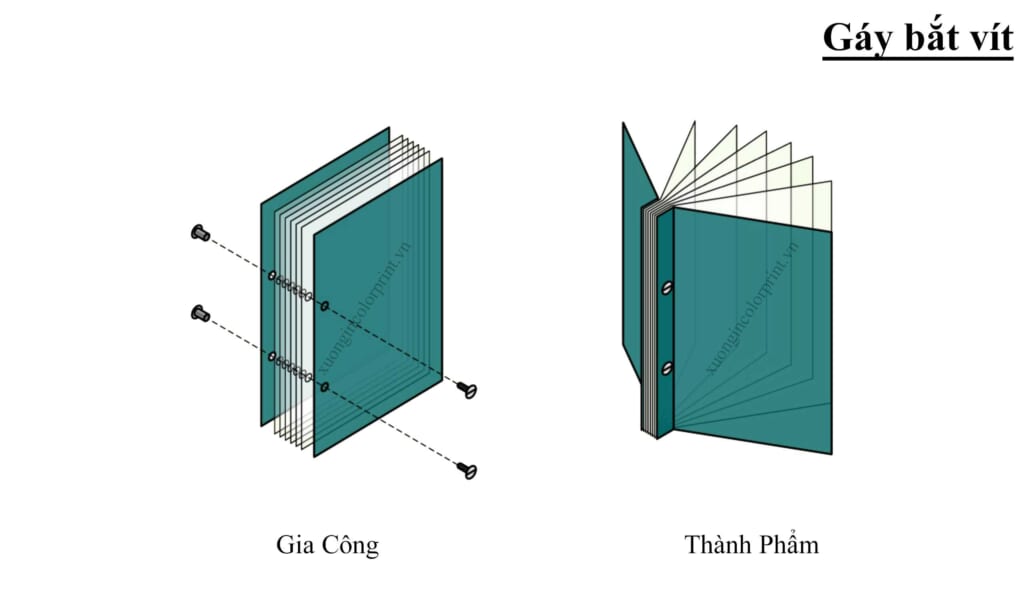 Kiểu gáy bắt vít