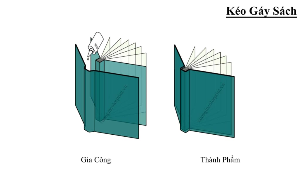 Kiểu keo gáy sách