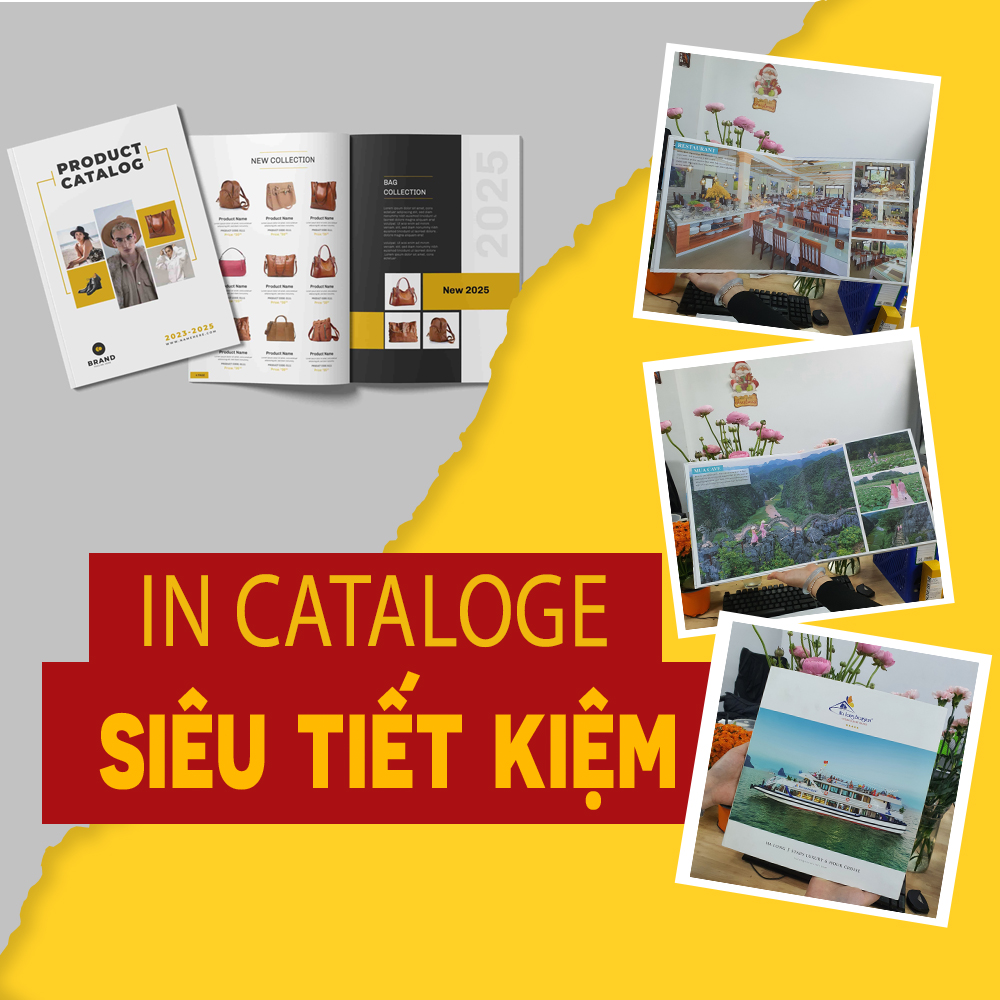 in catalogue